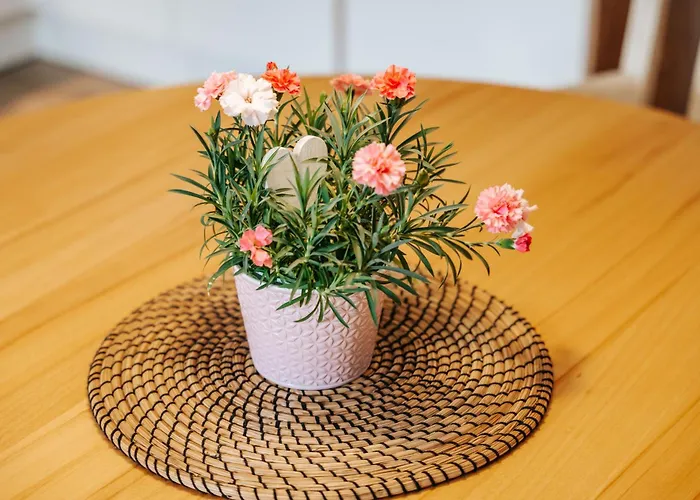 Apartman Traunplatzl Bad Aussee